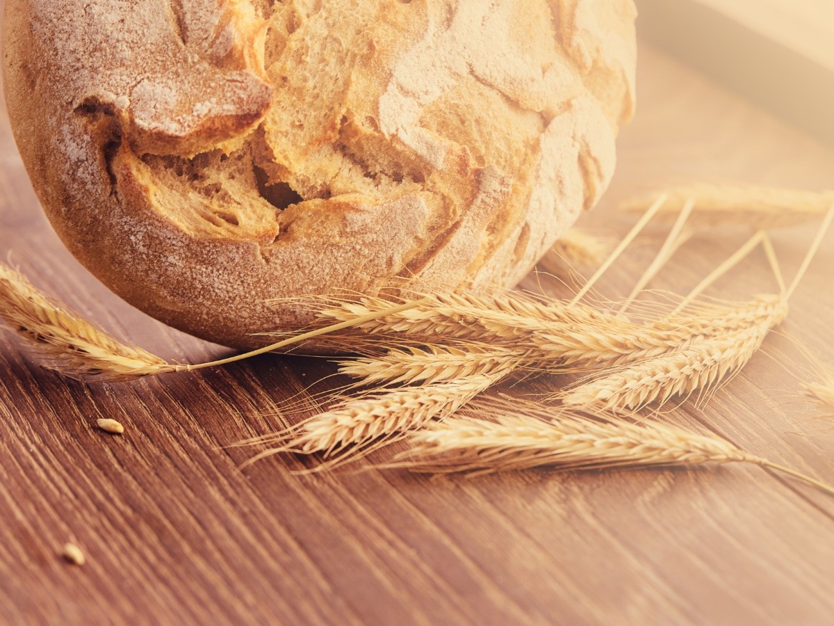 Whole Wheat